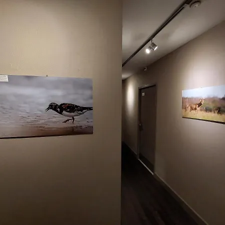 Logis - Les Pasteliers